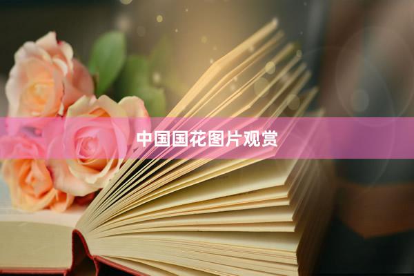 中国国花图片观赏