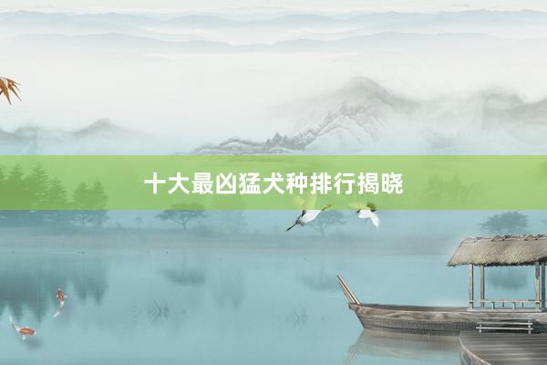 十大最凶猛犬种排行揭晓